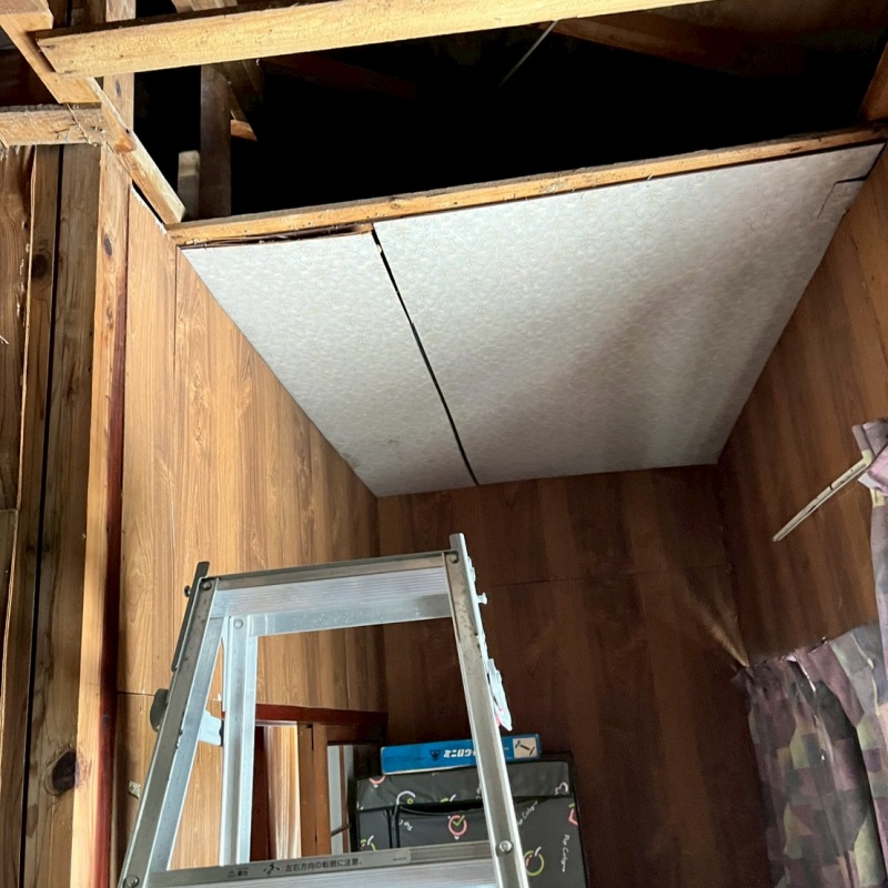 アライグマ駆除の施工事例（石川県加賀市作見町ロ）