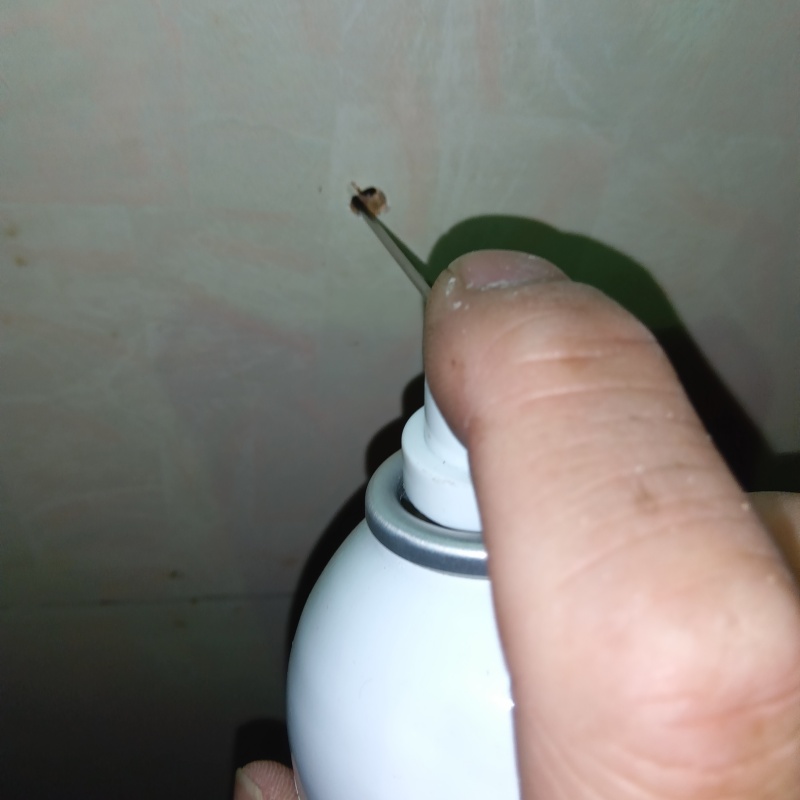 壁に忌避剤を注入