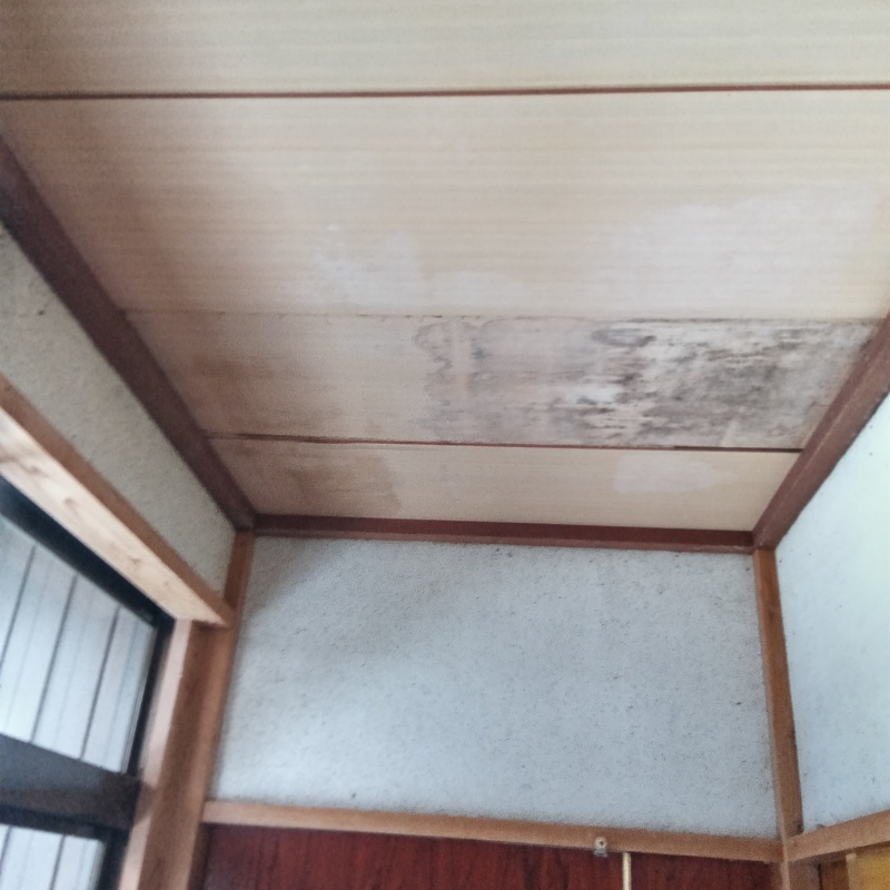 ハクビシン駆除の施工事例（富山県氷見市）