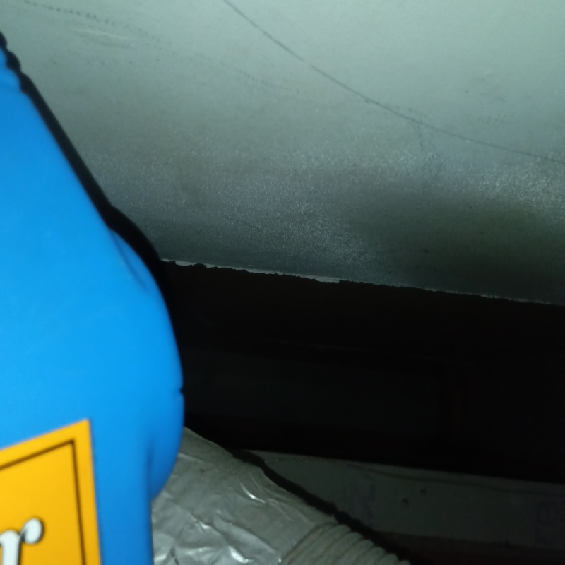 噴霧器で除菌・消臭剤を散布