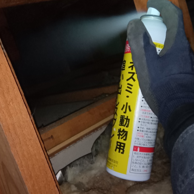 ネズミ駆除の施工事例（東京都西東京市泉町）