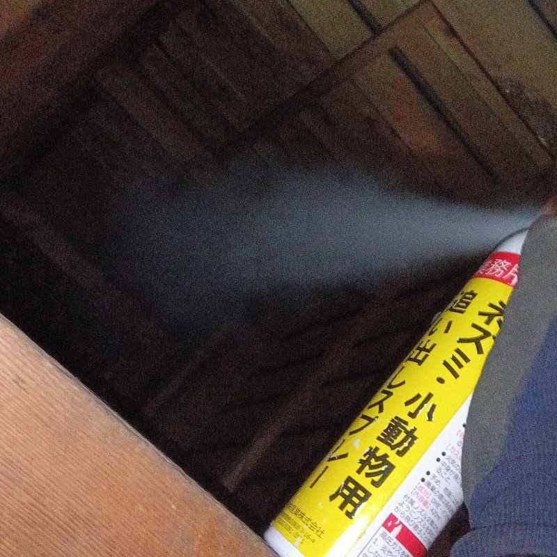 天井裏に忌避剤をスプレー