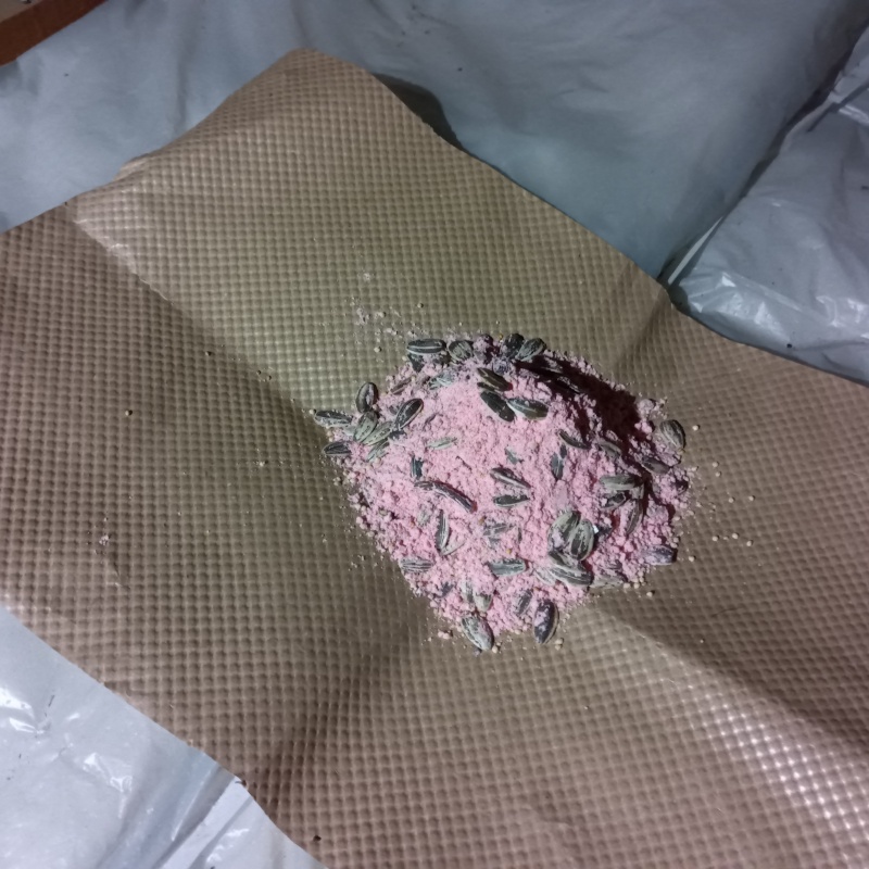 殺鼠剤を設置