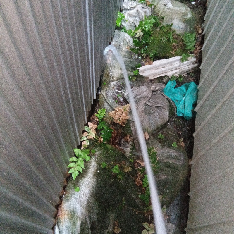 屋外の地面にシロアリ駆除剤を散布