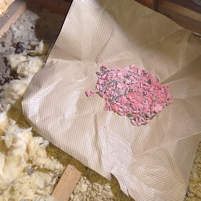 殺鼠剤を設置