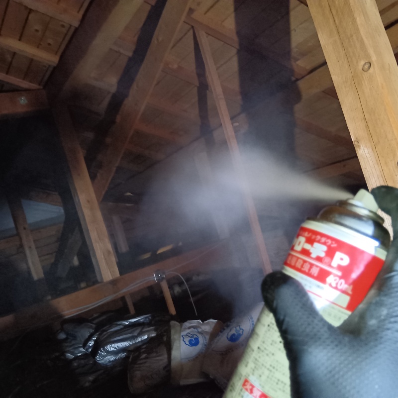 殺虫剤をスプレー