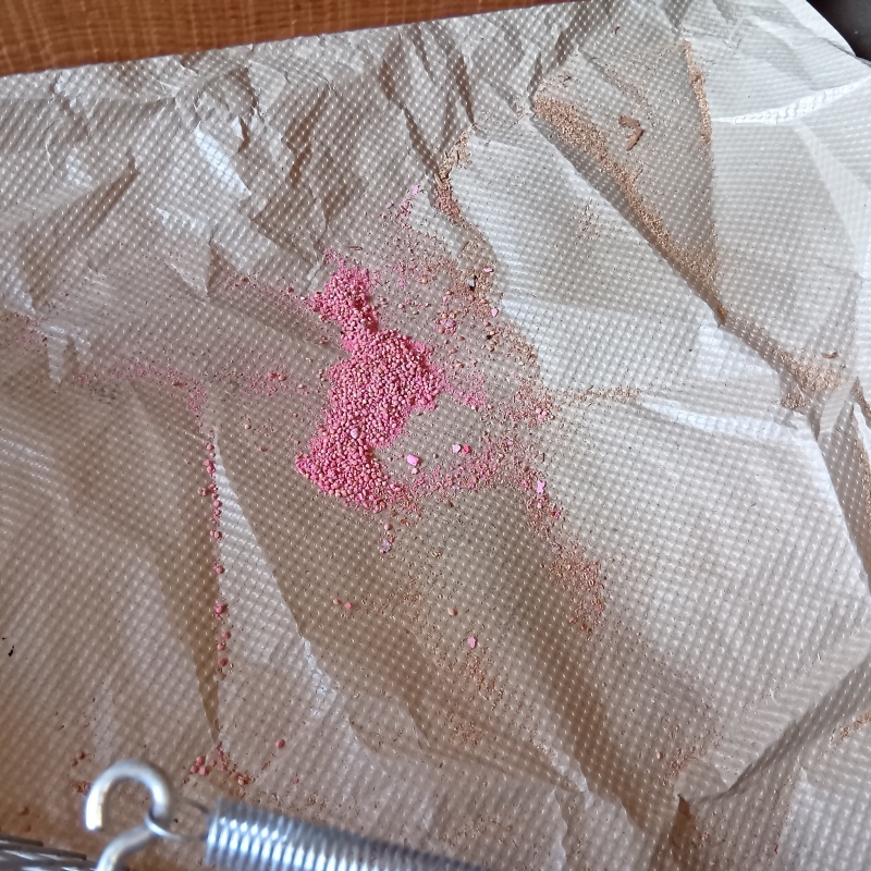 ネズミが殺鼠剤を食べたあと