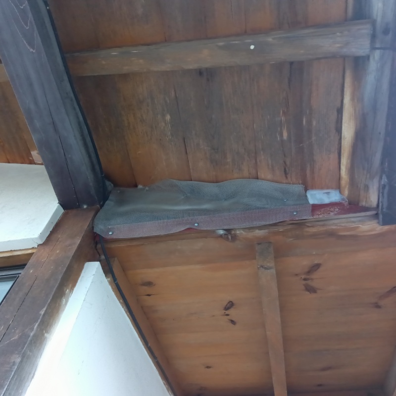 屋根の開口部をネットで封鎖