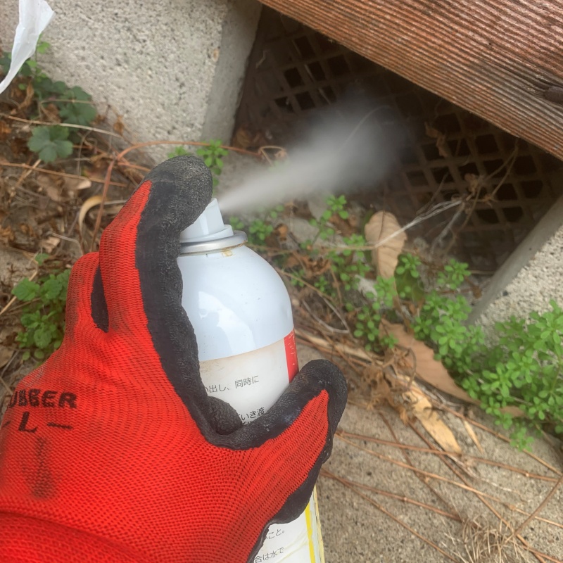 床下換気口から忌避剤をスプレー