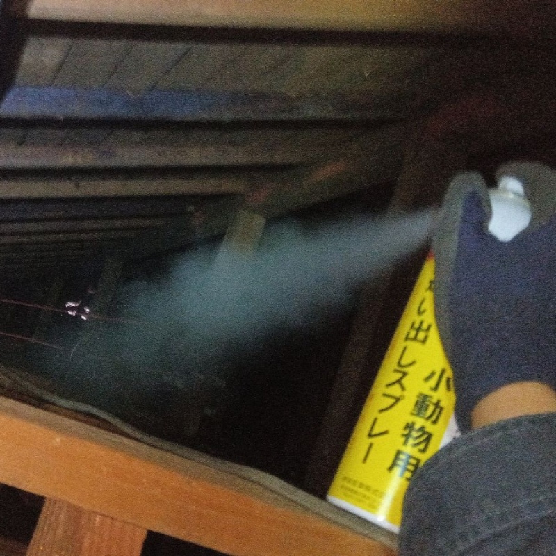 天井裏に忌避剤をスプレー