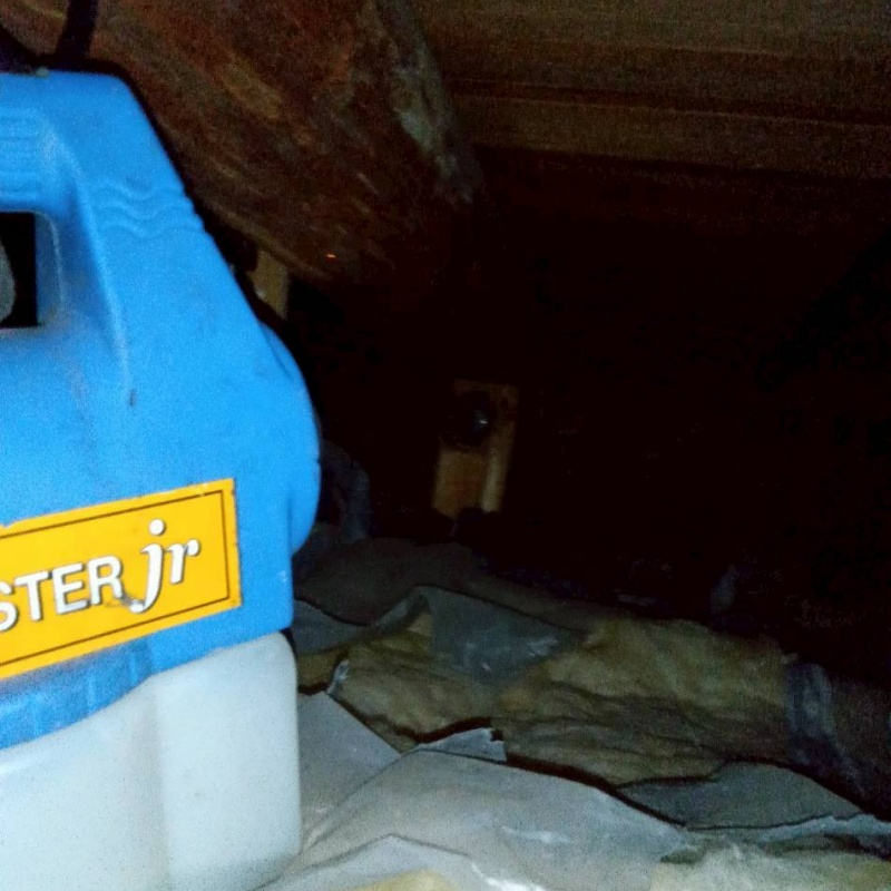 噴霧器で除菌・消臭剤を散布