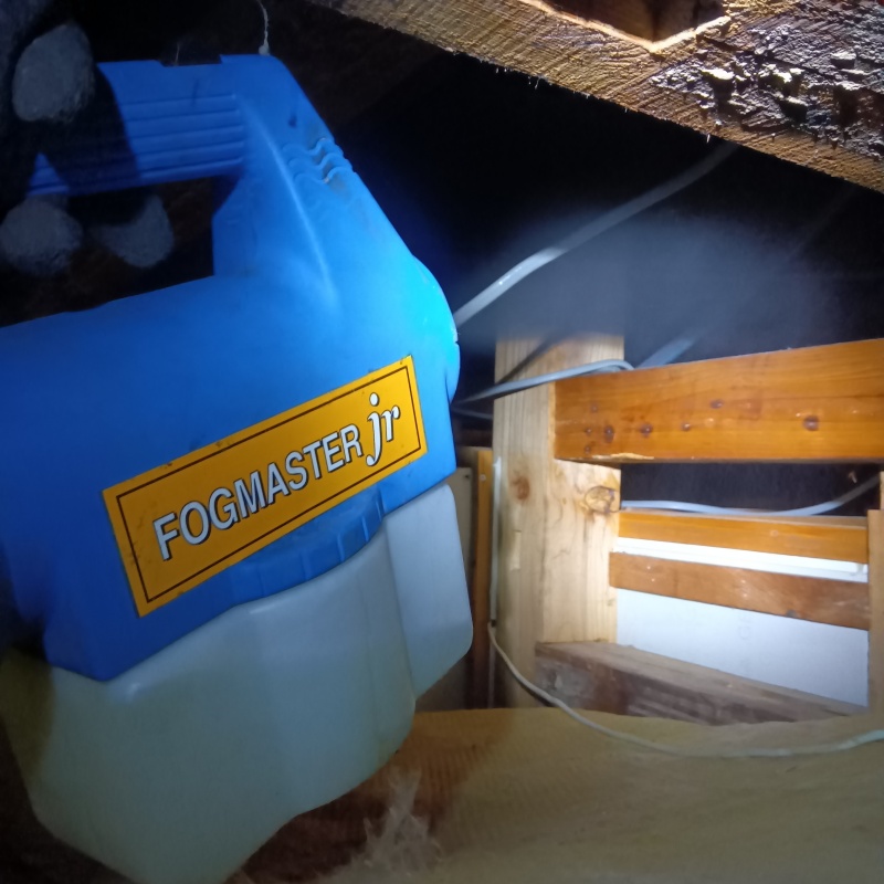 噴霧器で殺虫剤を散布