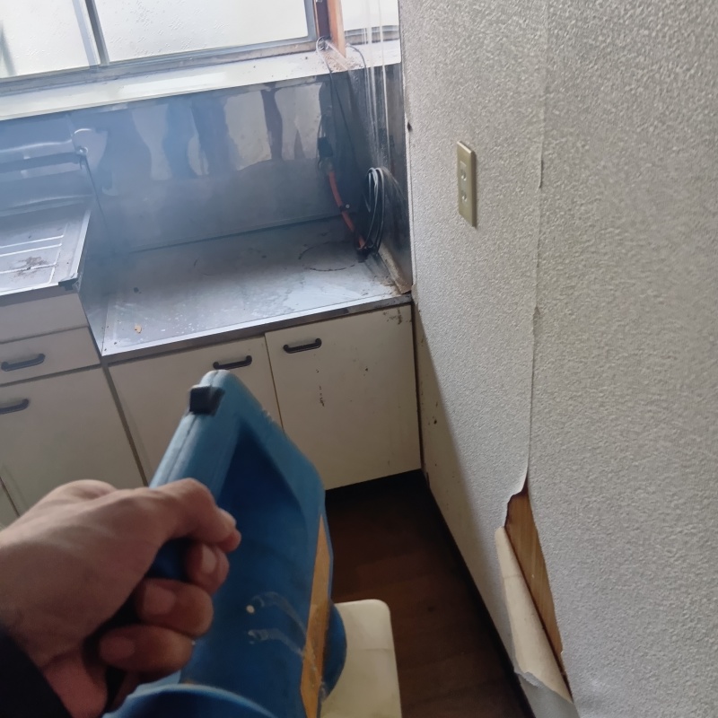 噴霧器で除菌・消臭剤を散布