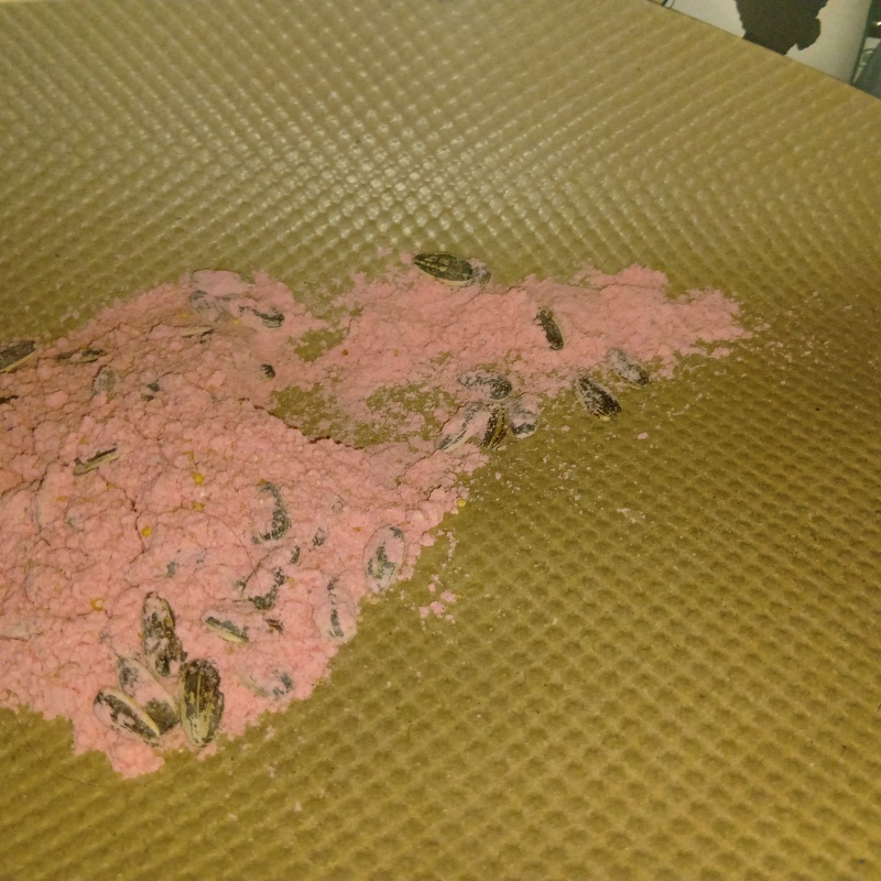 ネズミが殺鼠剤を食べたあと