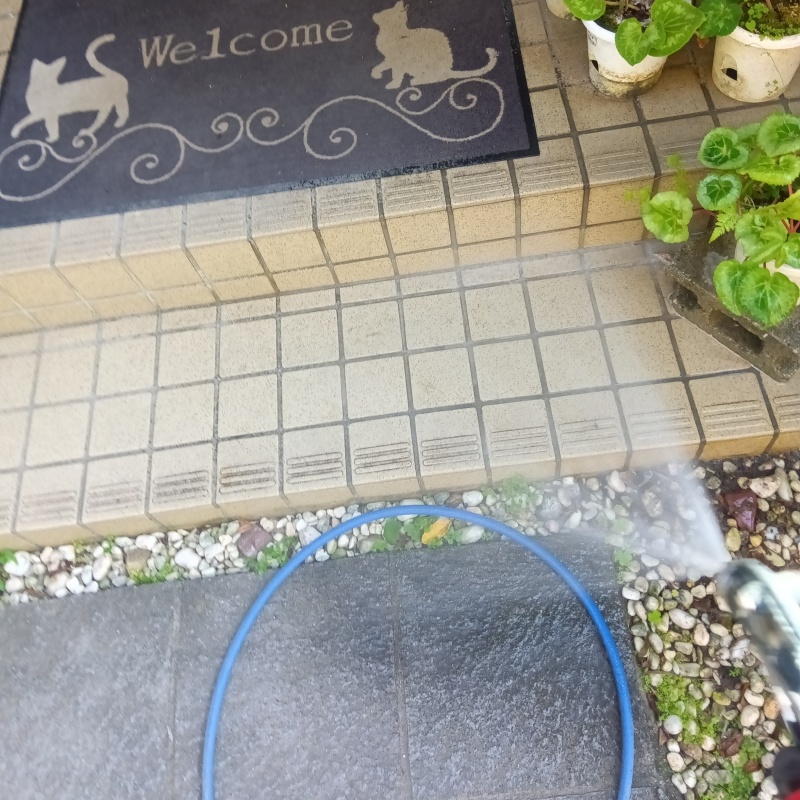 玄関まわりにシロアリ駆除剤を散布