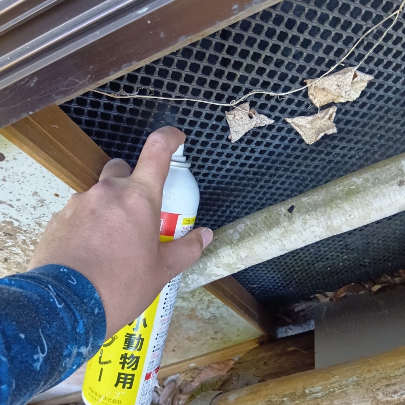 ネズミ駆除の施工事例（大阪府河内長野市岩瀬）