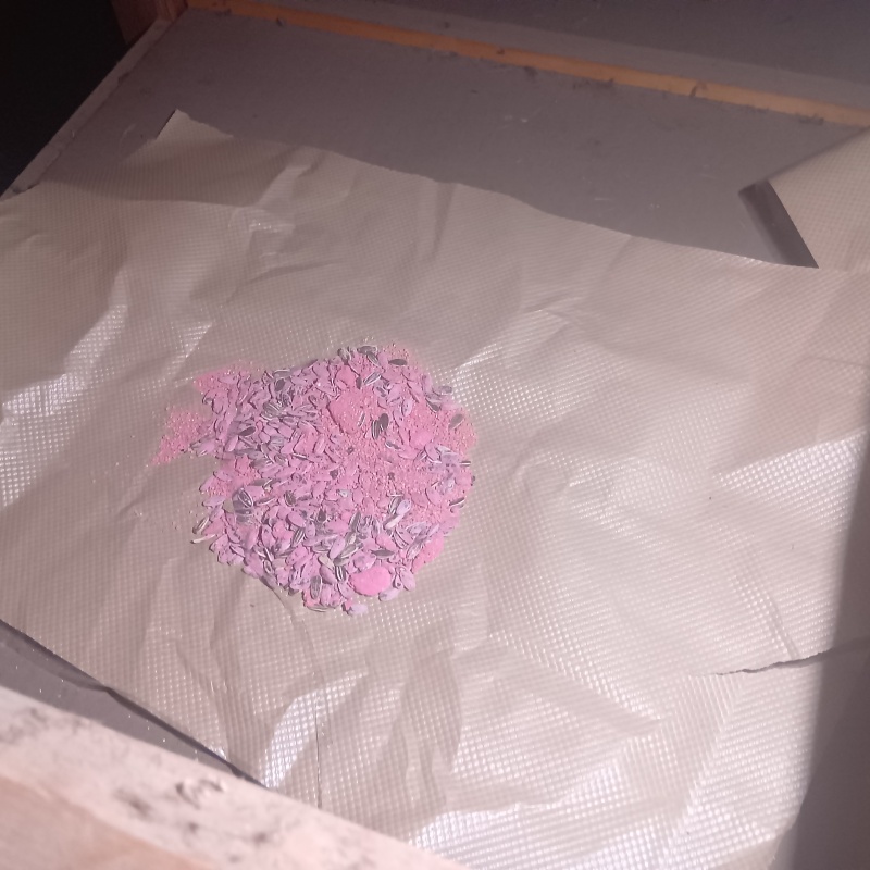 殺鼠剤を設置
