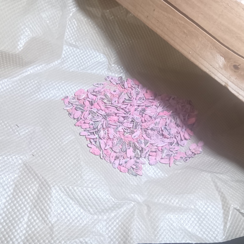 殺鼠剤を設置