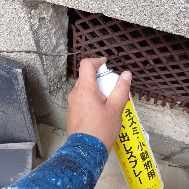 床下換気口から忌避剤をスプレー