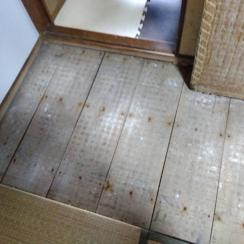 床下点検口の作成前の様子