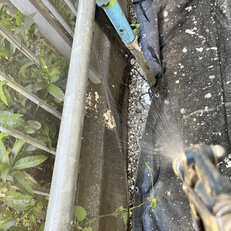 庭の土壌にシロアリ駆除剤を散布