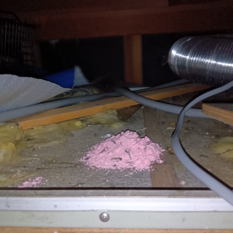殺鼠剤を設置