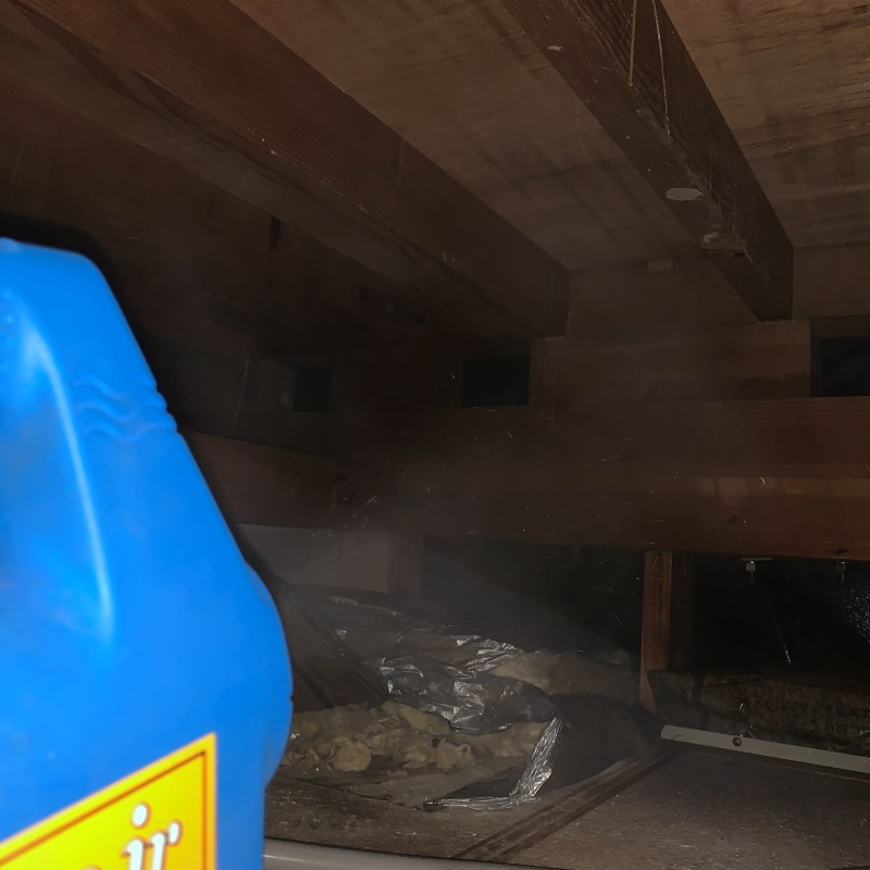 噴霧器で除菌・消臭剤を散布
