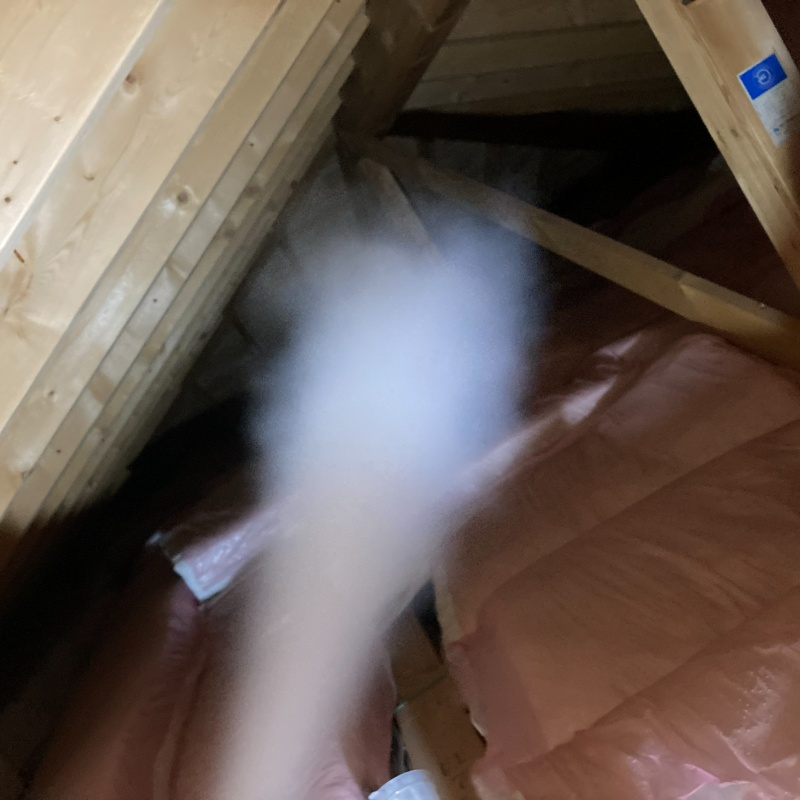 殺虫剤をスプレー