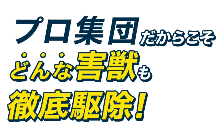 プロ集団だからこそどんな害獣も徹底駆除