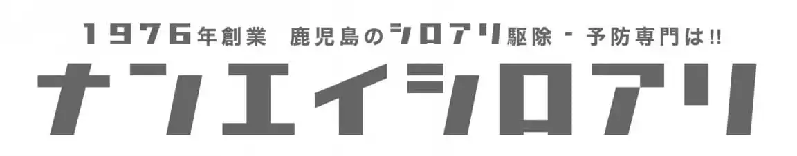 画像引用_ナンエイシロアリ