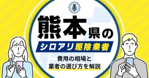 熊本県のシロアリ駆除業者おすすめ9選！駆除費用相場や業者の選び方のポイントについても解説