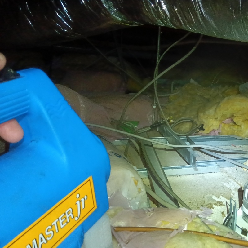 噴霧器で殺虫剤を散布