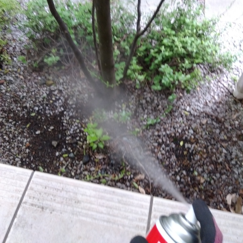殺虫剤をスプレー
