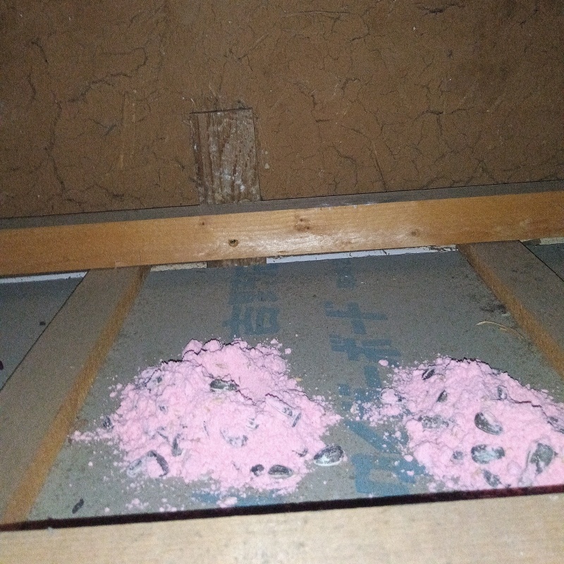 屋根裏に殺鼠剤を設置