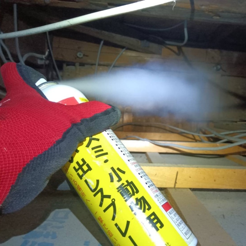 屋根裏に忌避剤をスプレー