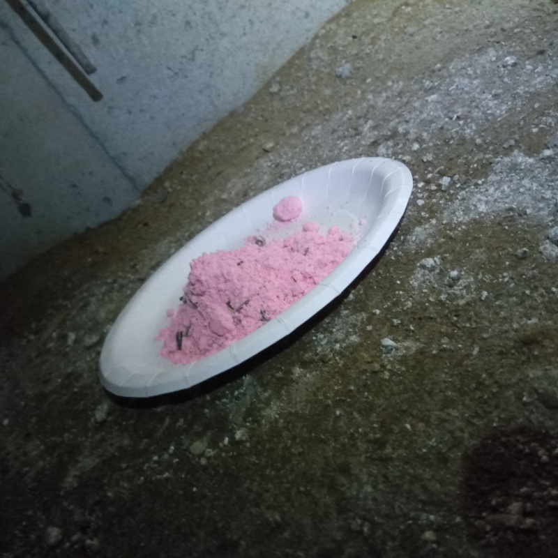 殺鼠剤を設置
