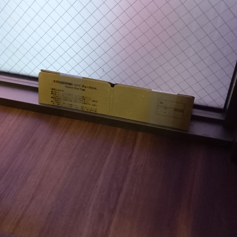 窓際に粘着シートを設置