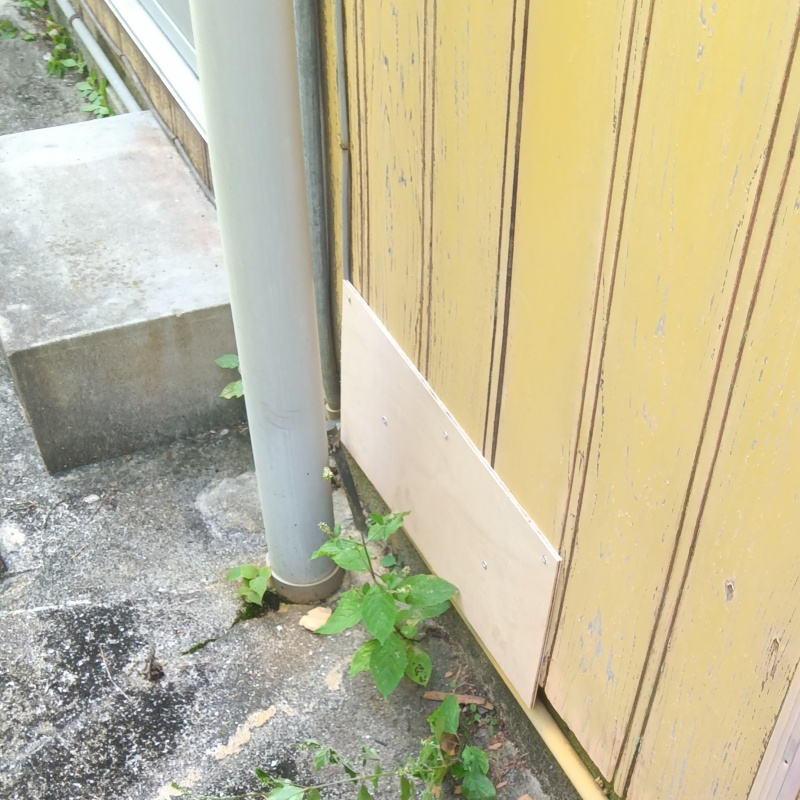 侵入口を板で封鎖