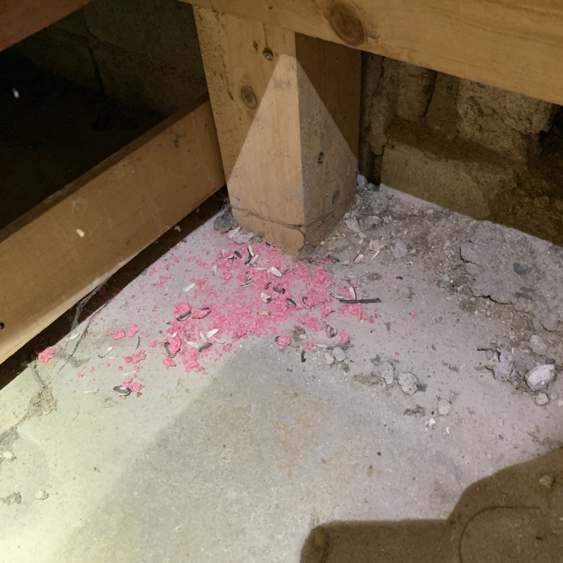 食べられた殺鼠剤