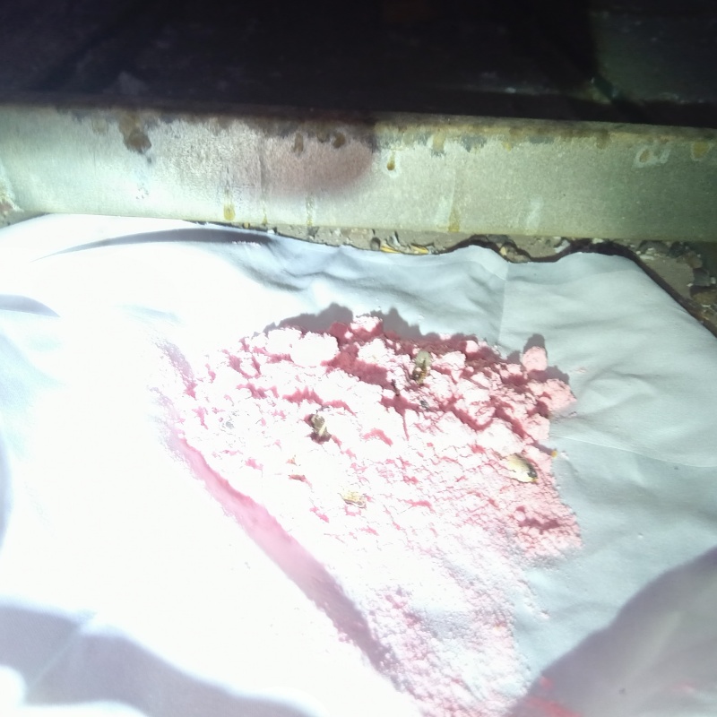 床下に殺鼠剤を設置