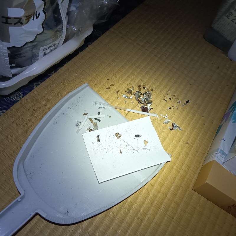 フンを回収する様子