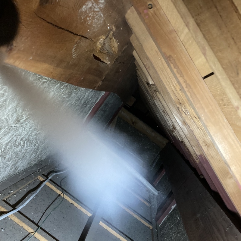 屋根裏に忌避剤をスプレー