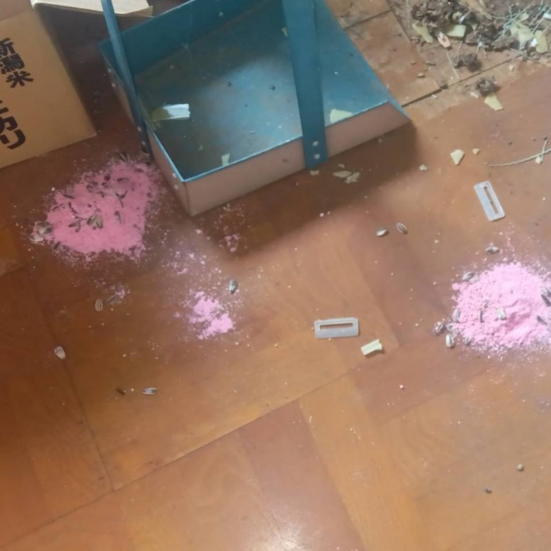 殺鼠剤を設置