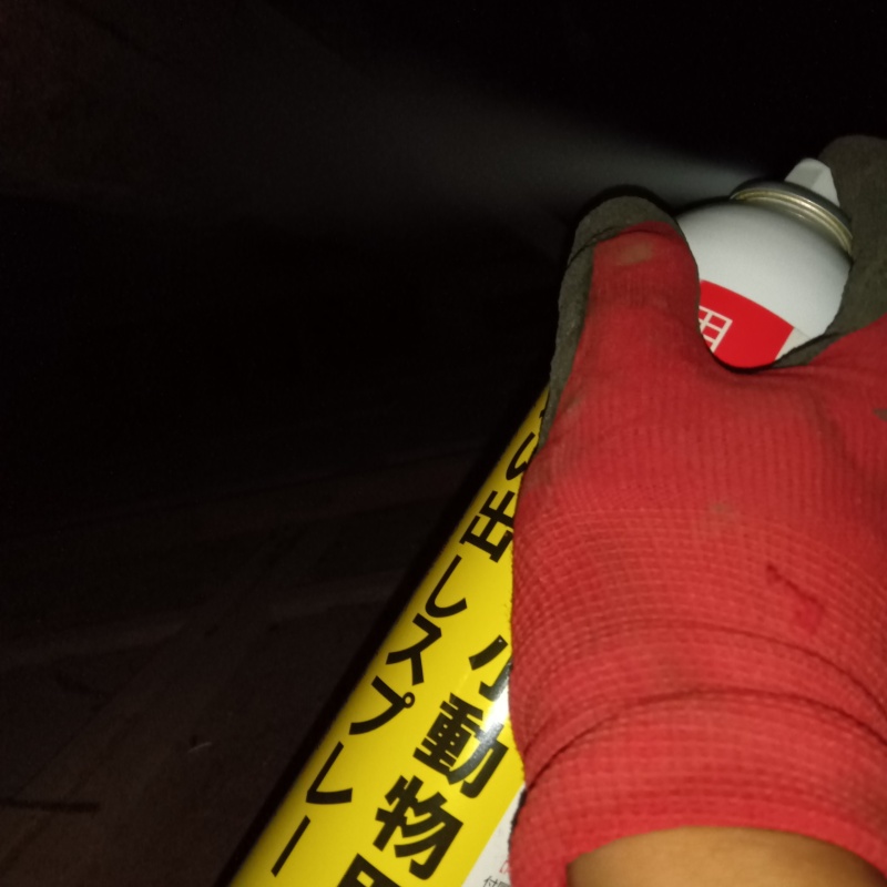 忌避剤をスプレー