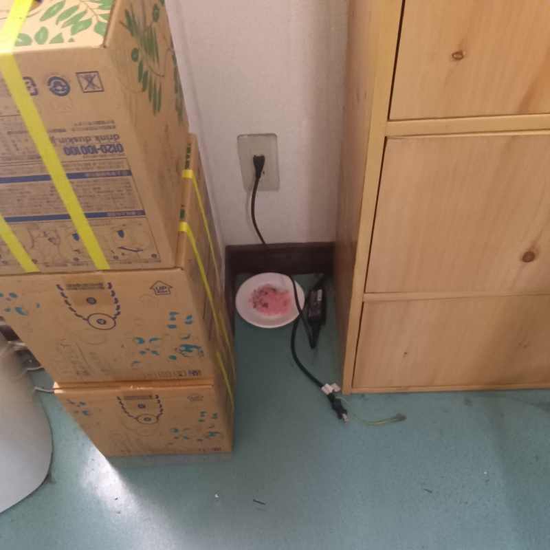 床に殺鼠剤を設置