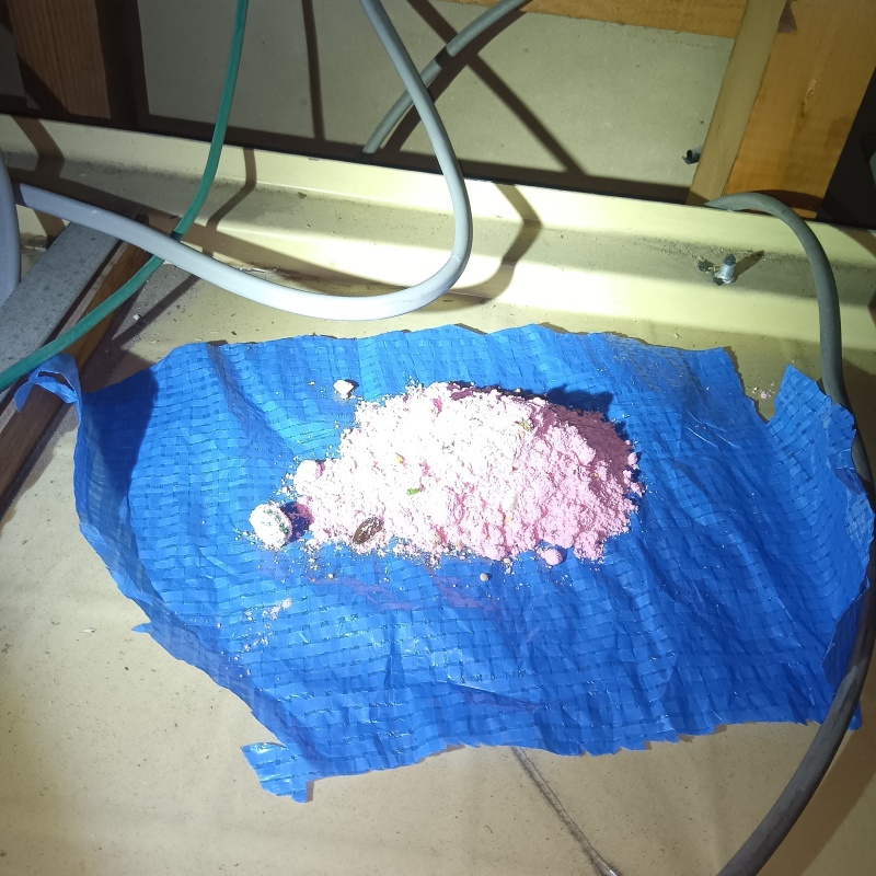 屋根裏に殺鼠剤を設置