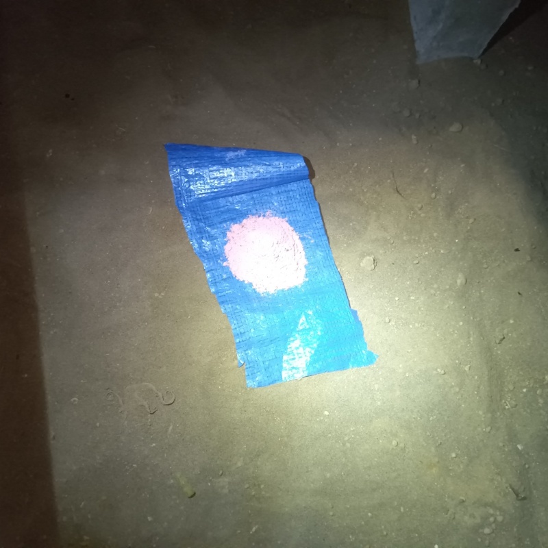 殺鼠剤を設置