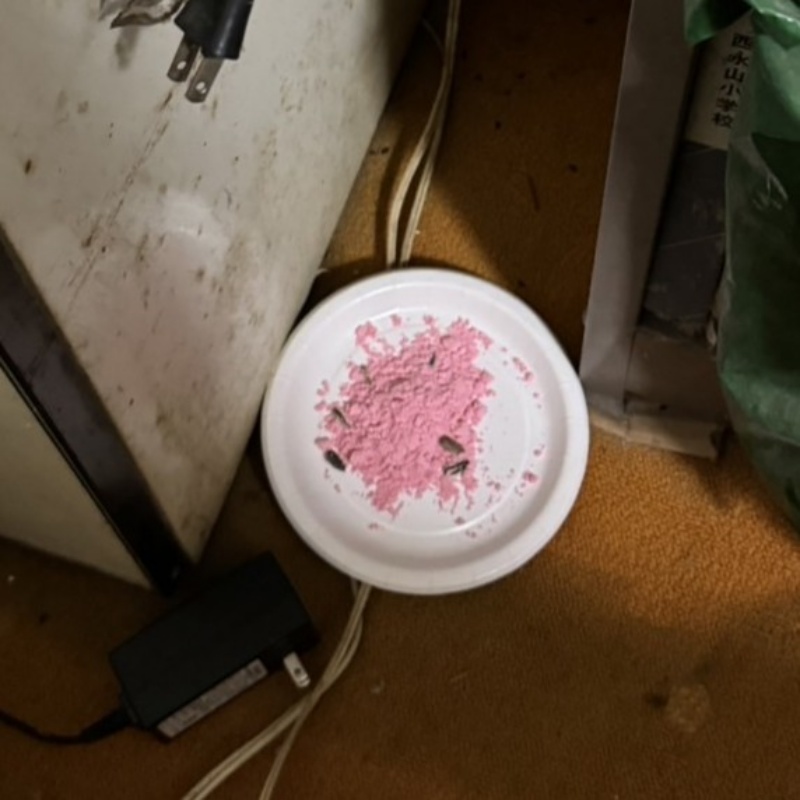 キッチンの隅に殺鼠剤を設置