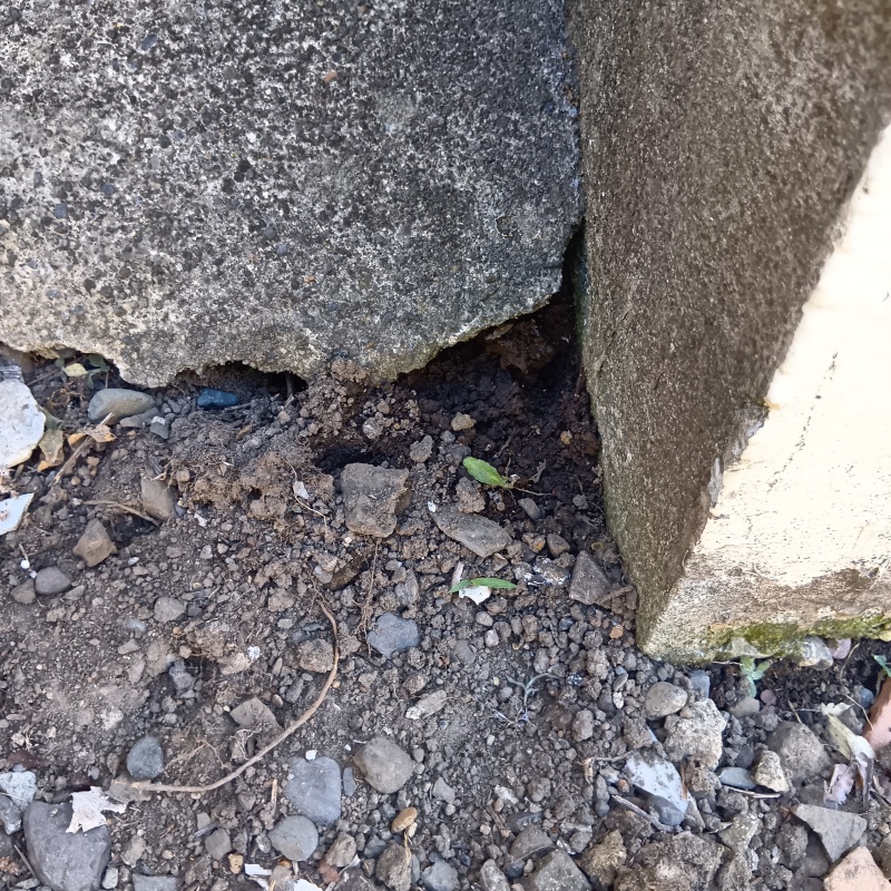 侵入口になっていたすき間