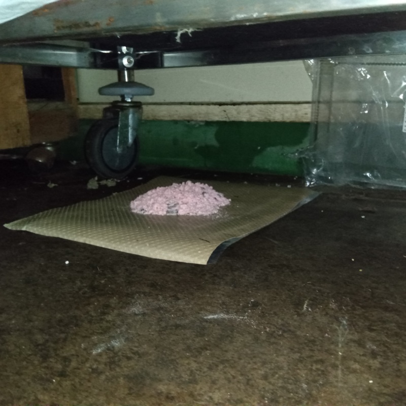 殺鼠剤を設置